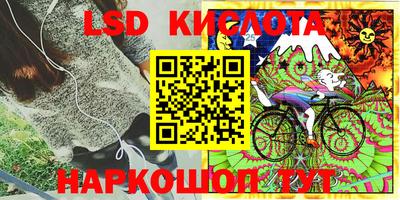 кокс Можайск