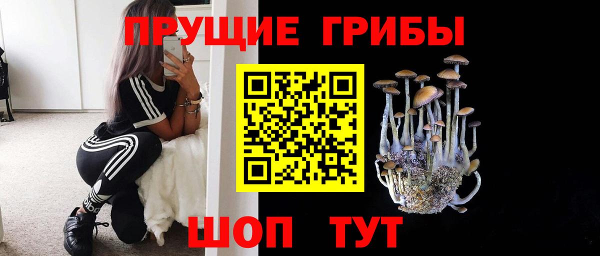 Псилоцибиновые грибы мухоморы Черкесск